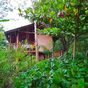  Privatunterkunft Akash Treehouse Sri Lanka
